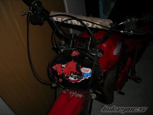 Photo 1341559