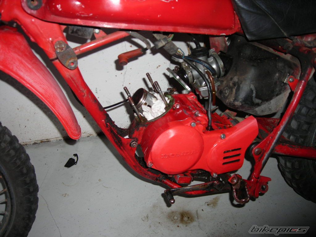 Photo 1341579