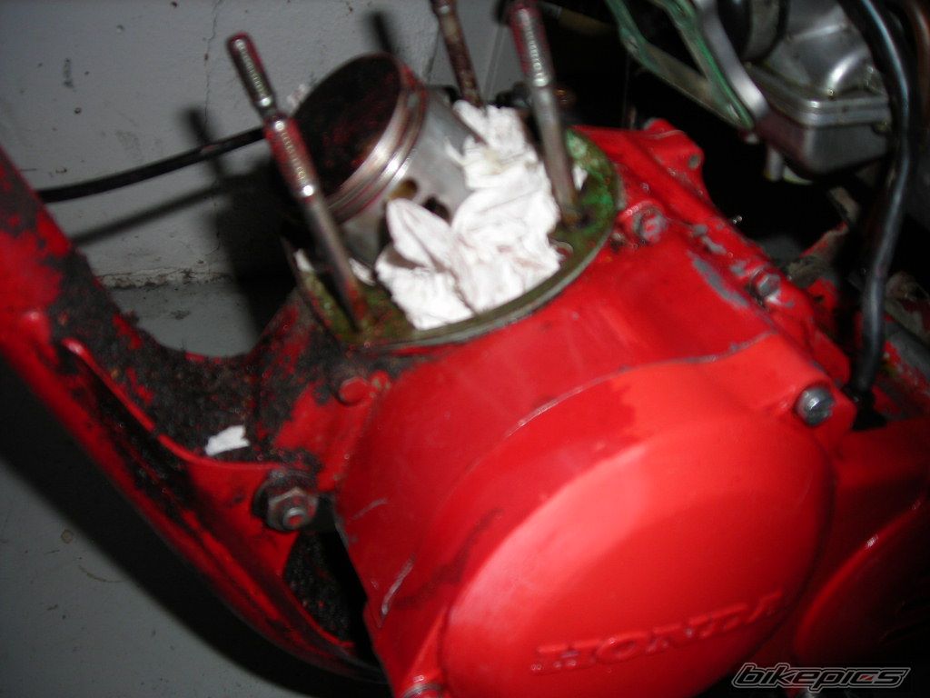 Photo 1341581