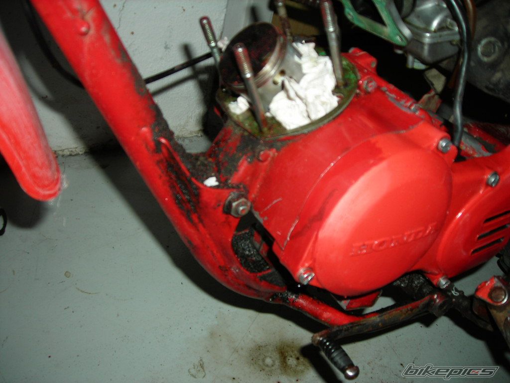 Photo 1341584