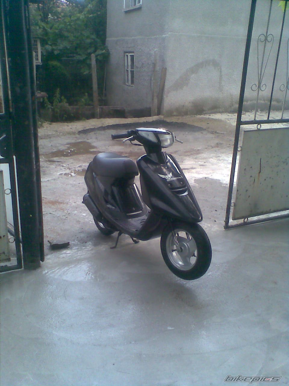 Photo 1341651