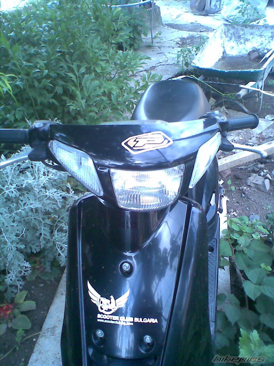 Photo 1341653