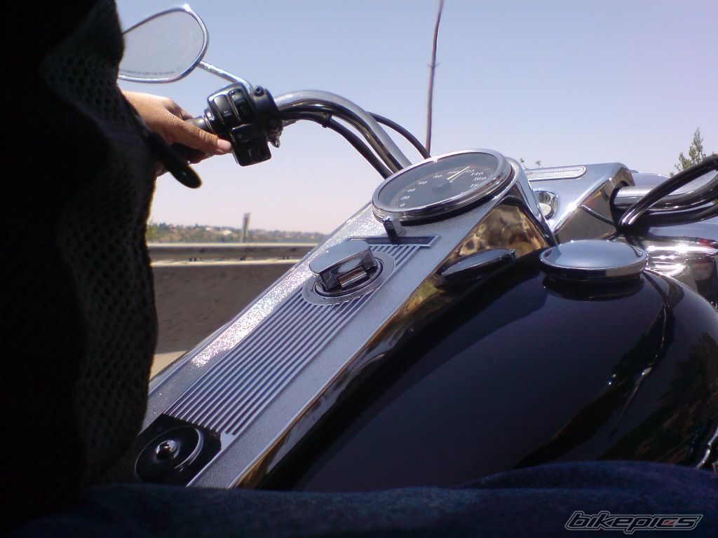 Photo 1341662