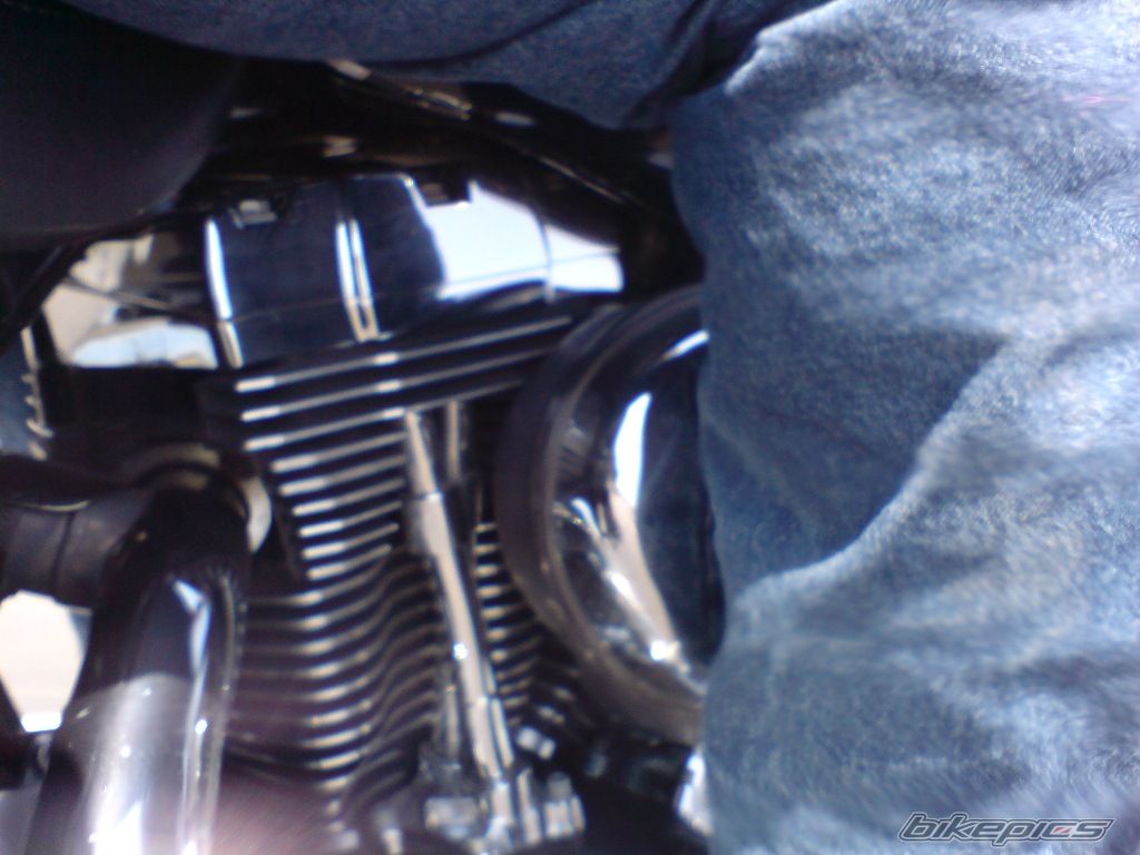 Photo 1341675