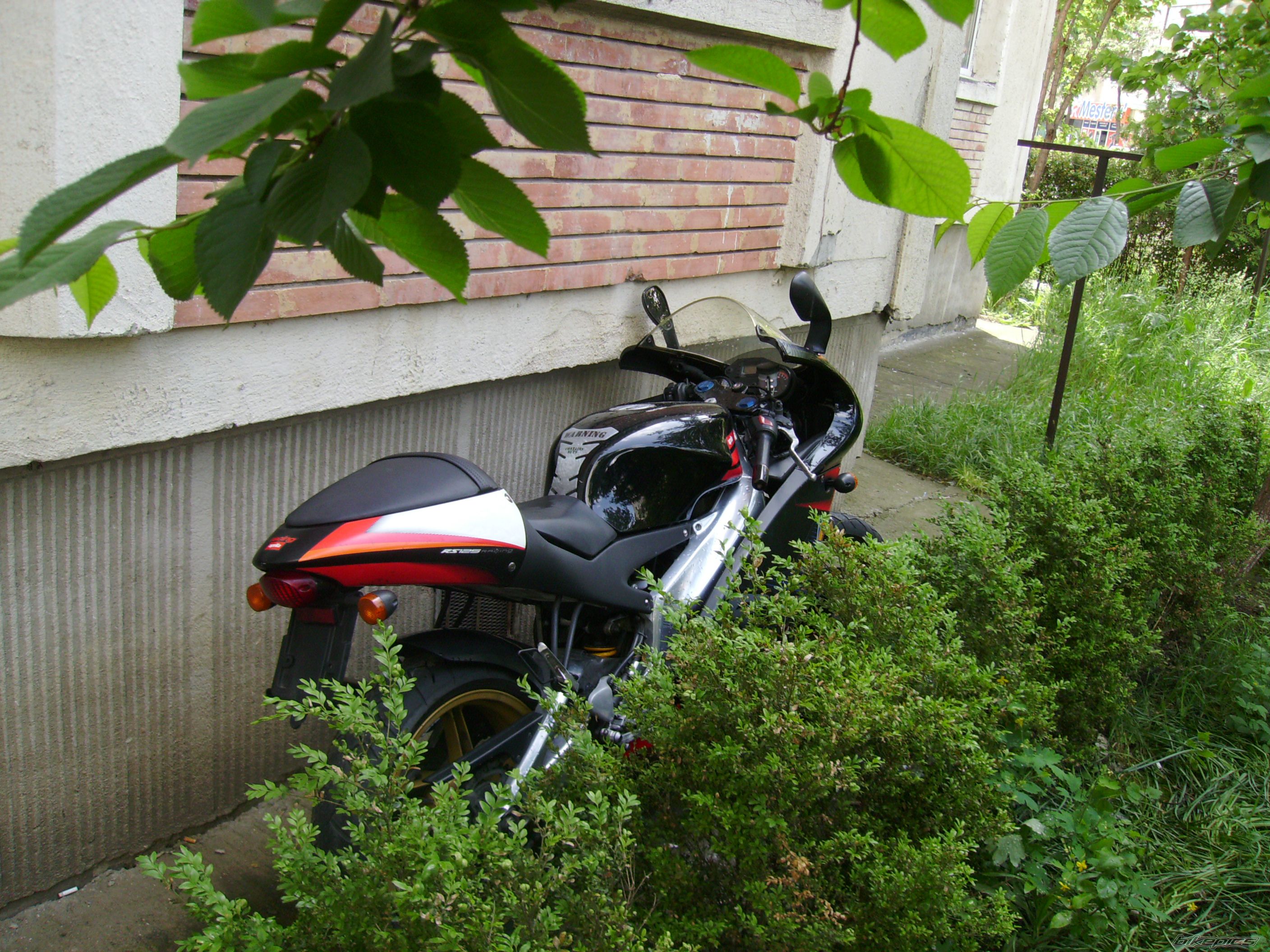 Photo 1341711