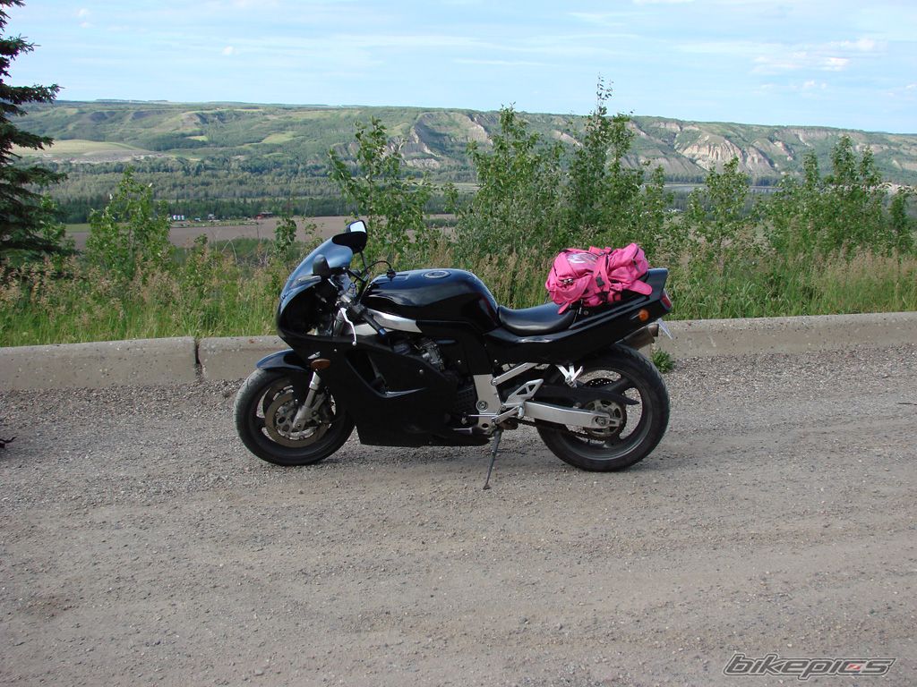 Photo 1341811