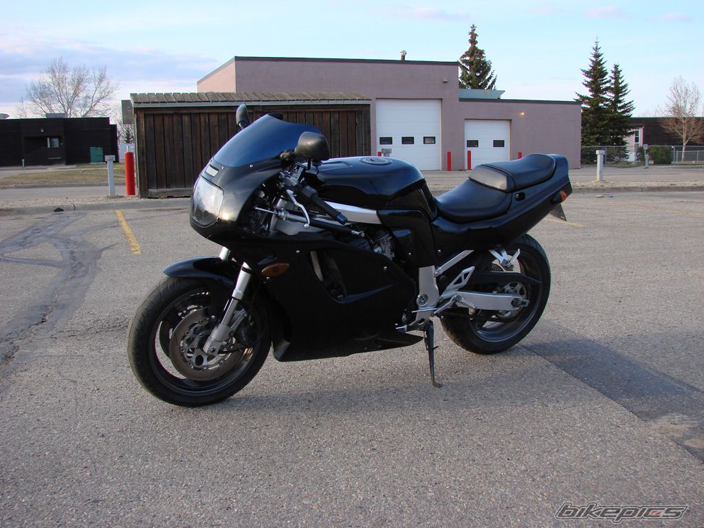 Photo 1341812