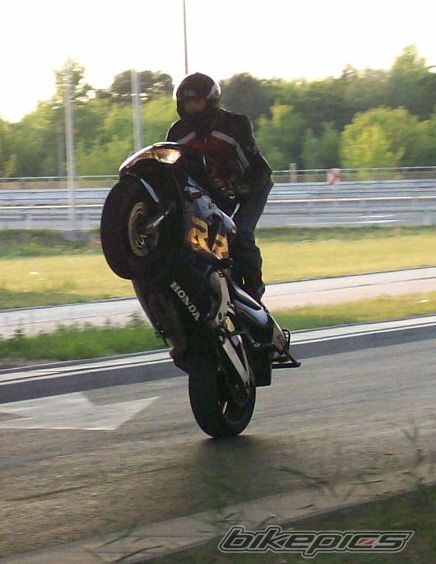 Photo 1341912