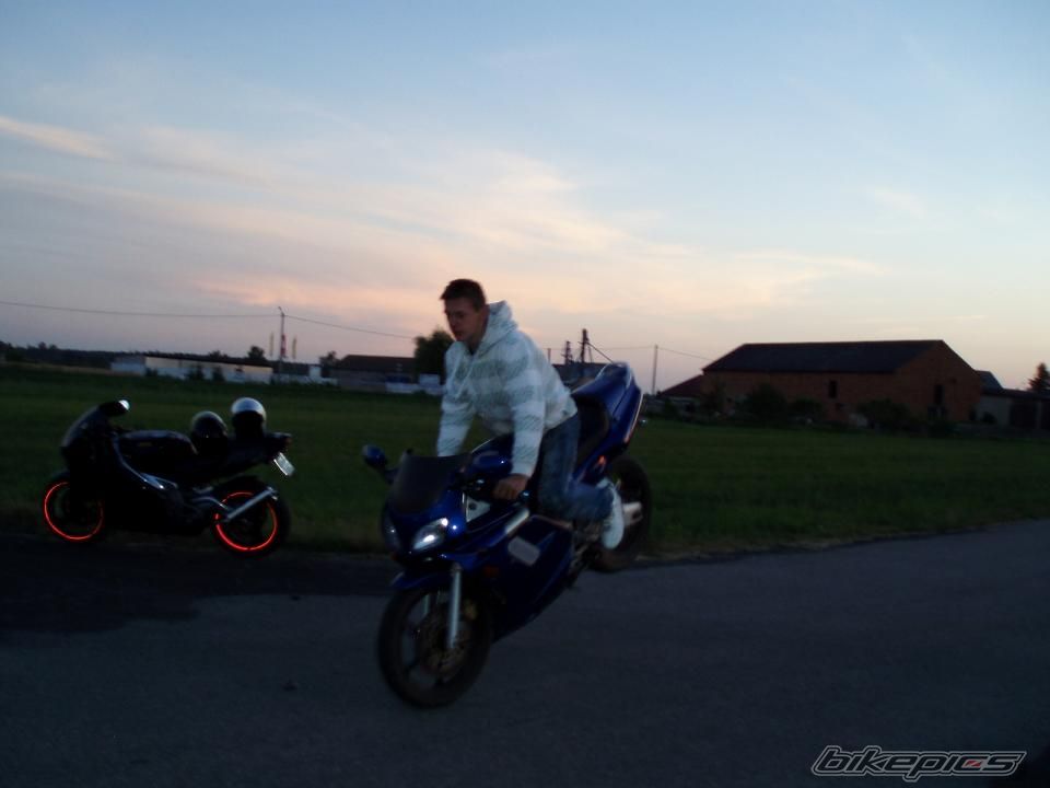 Photo 1341923