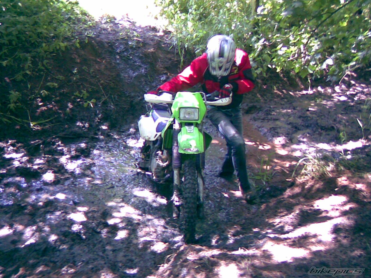 Bike Photo 1341940