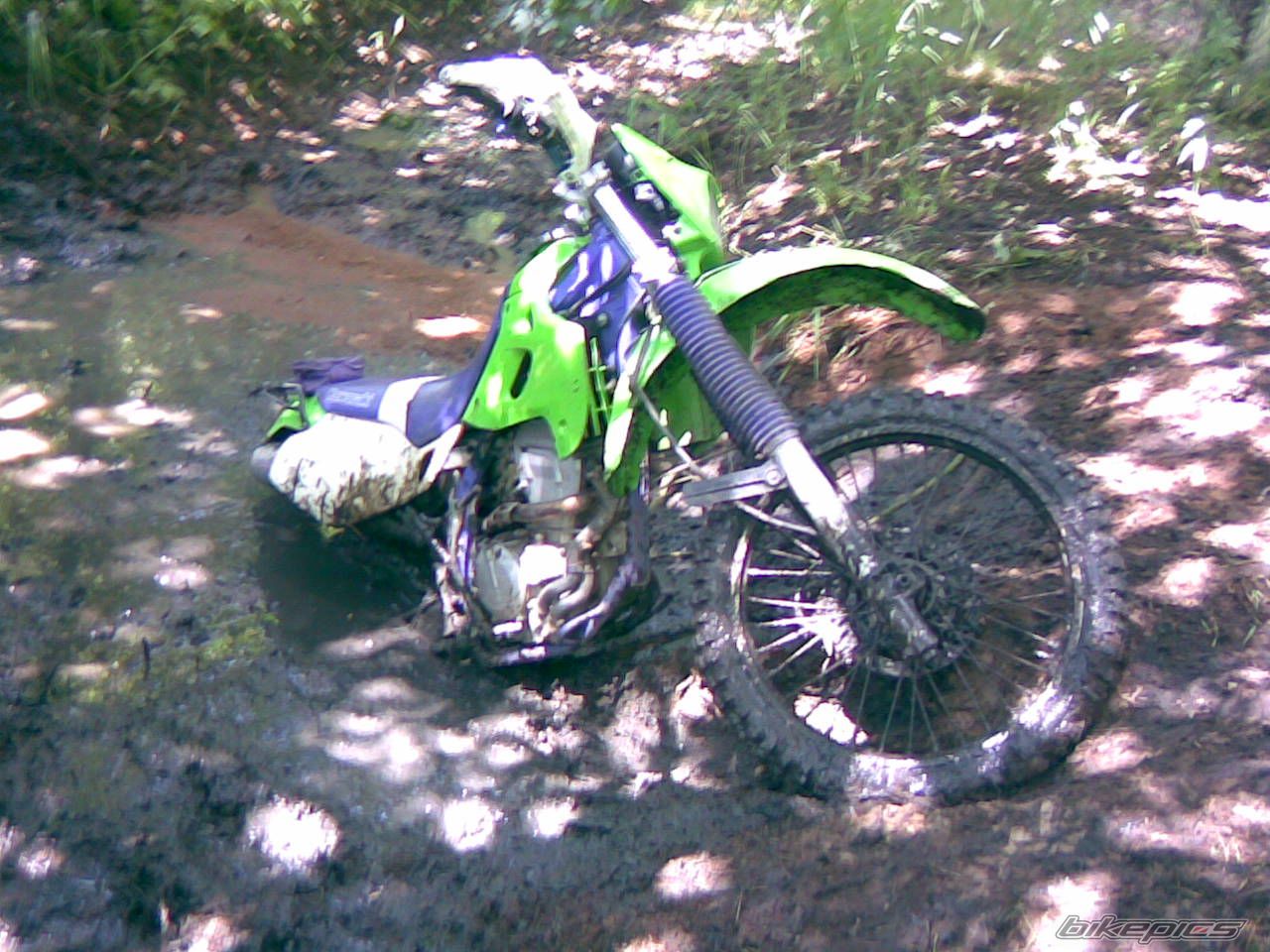 Bike Photo 1341941