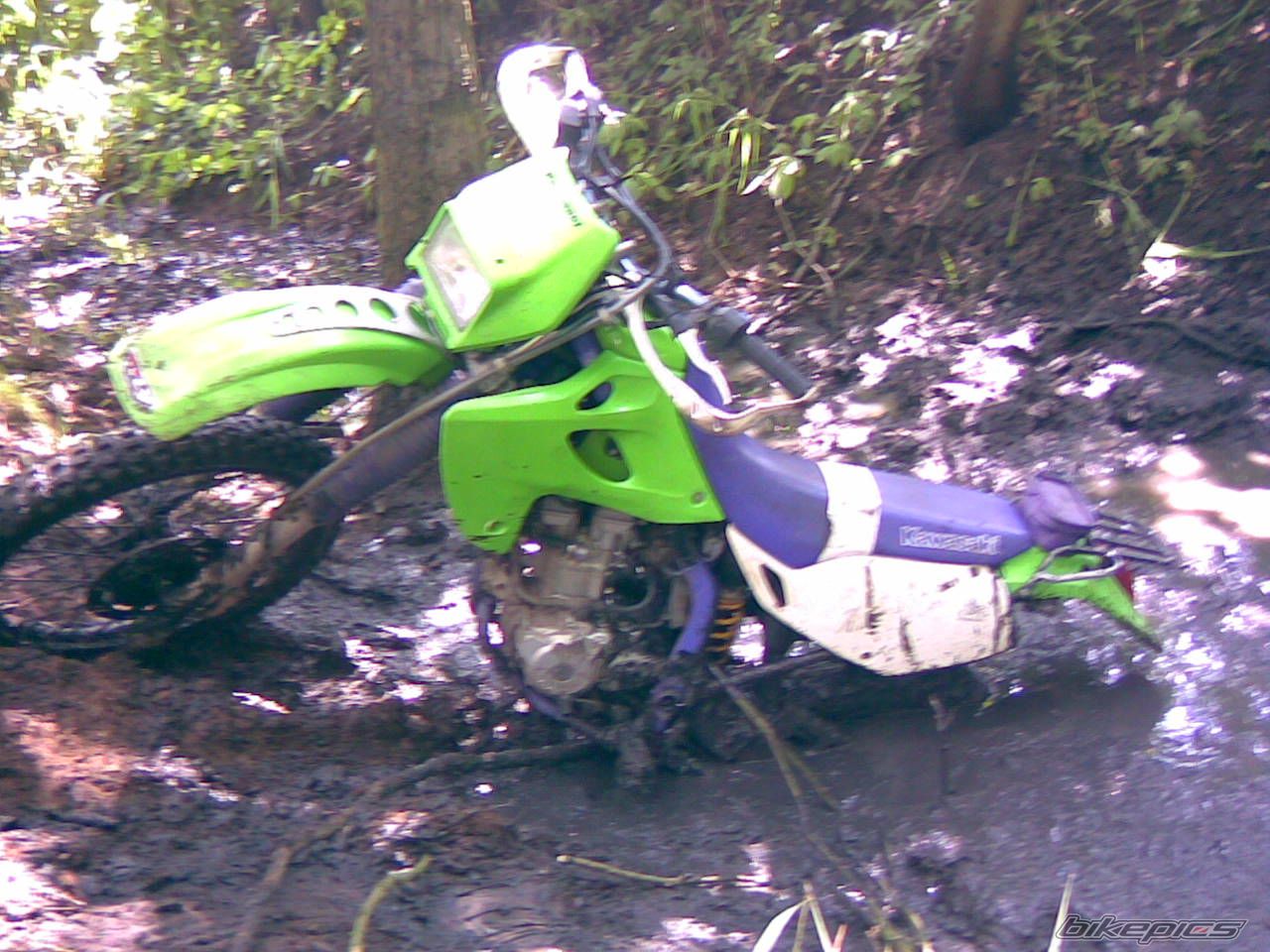 Bike Photo 1341943