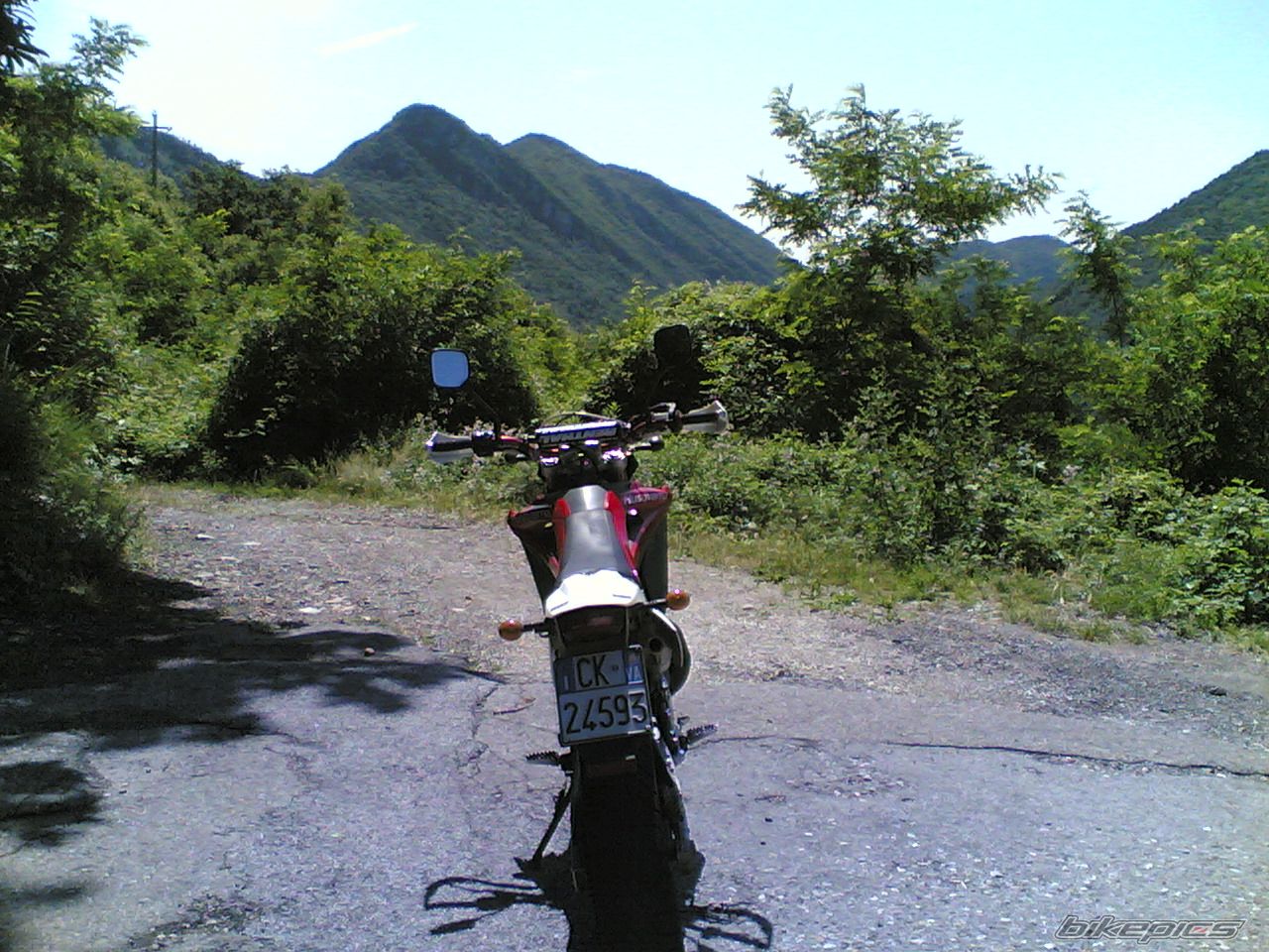 Photo 1342053