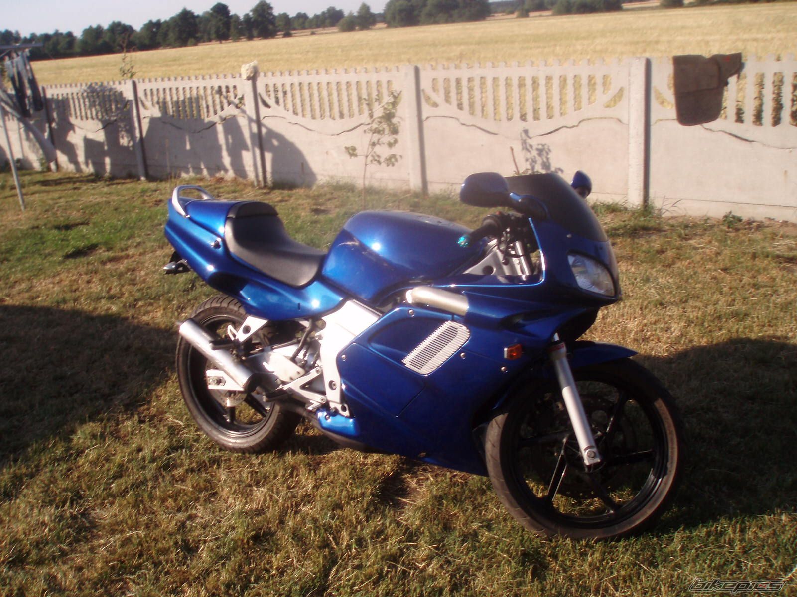 Photo 1342058