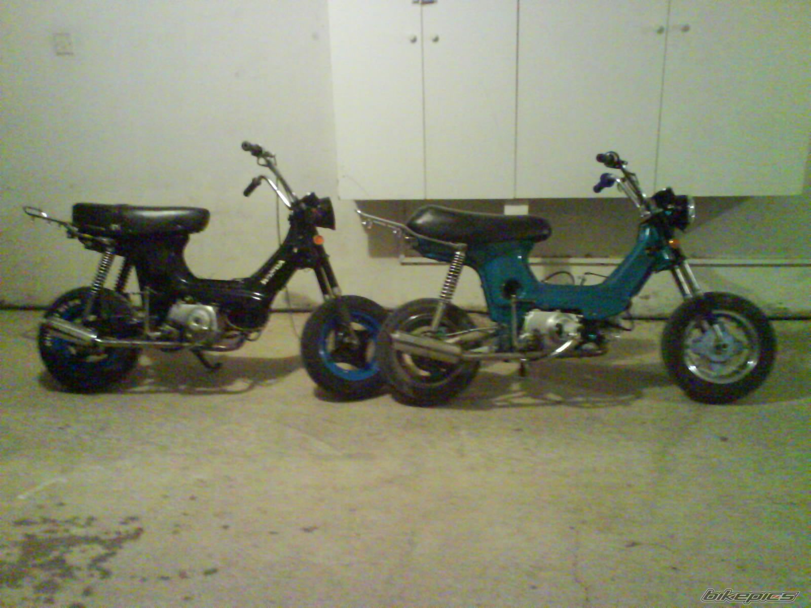 Photo 1342098