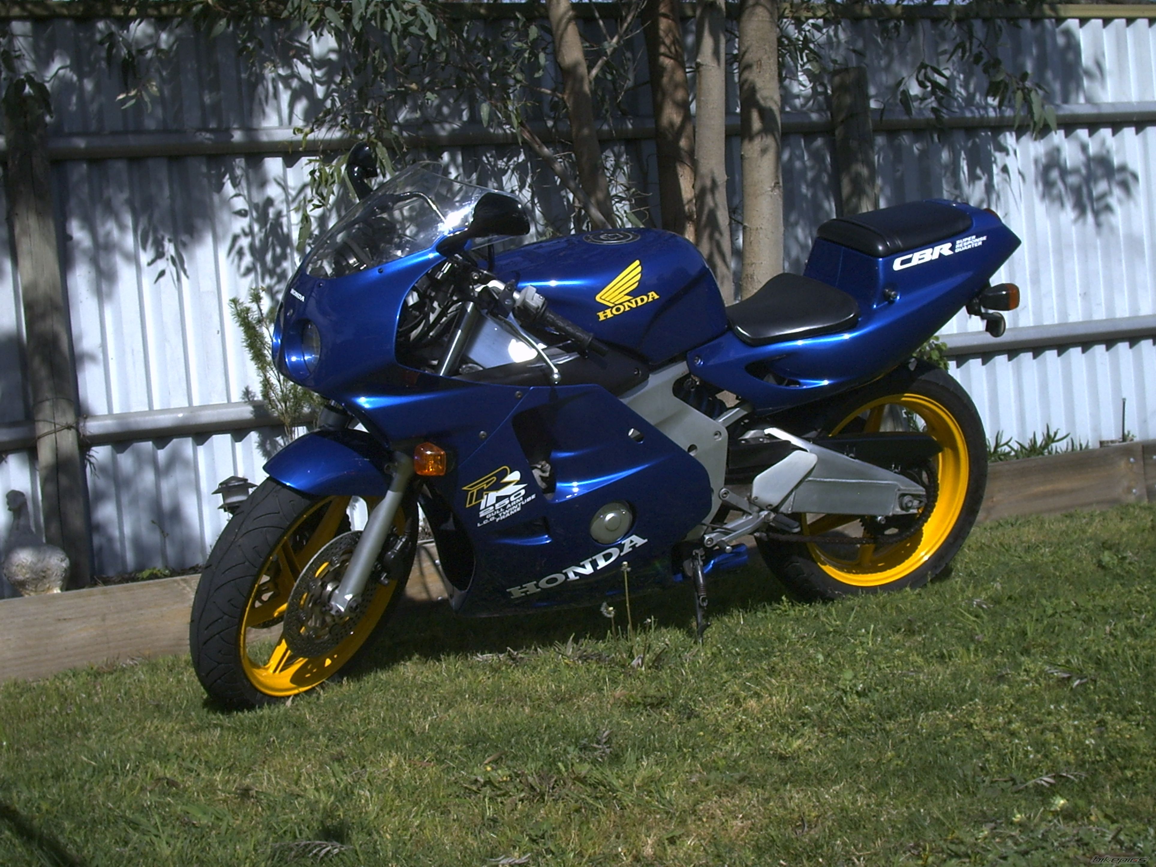 Photo 1342133