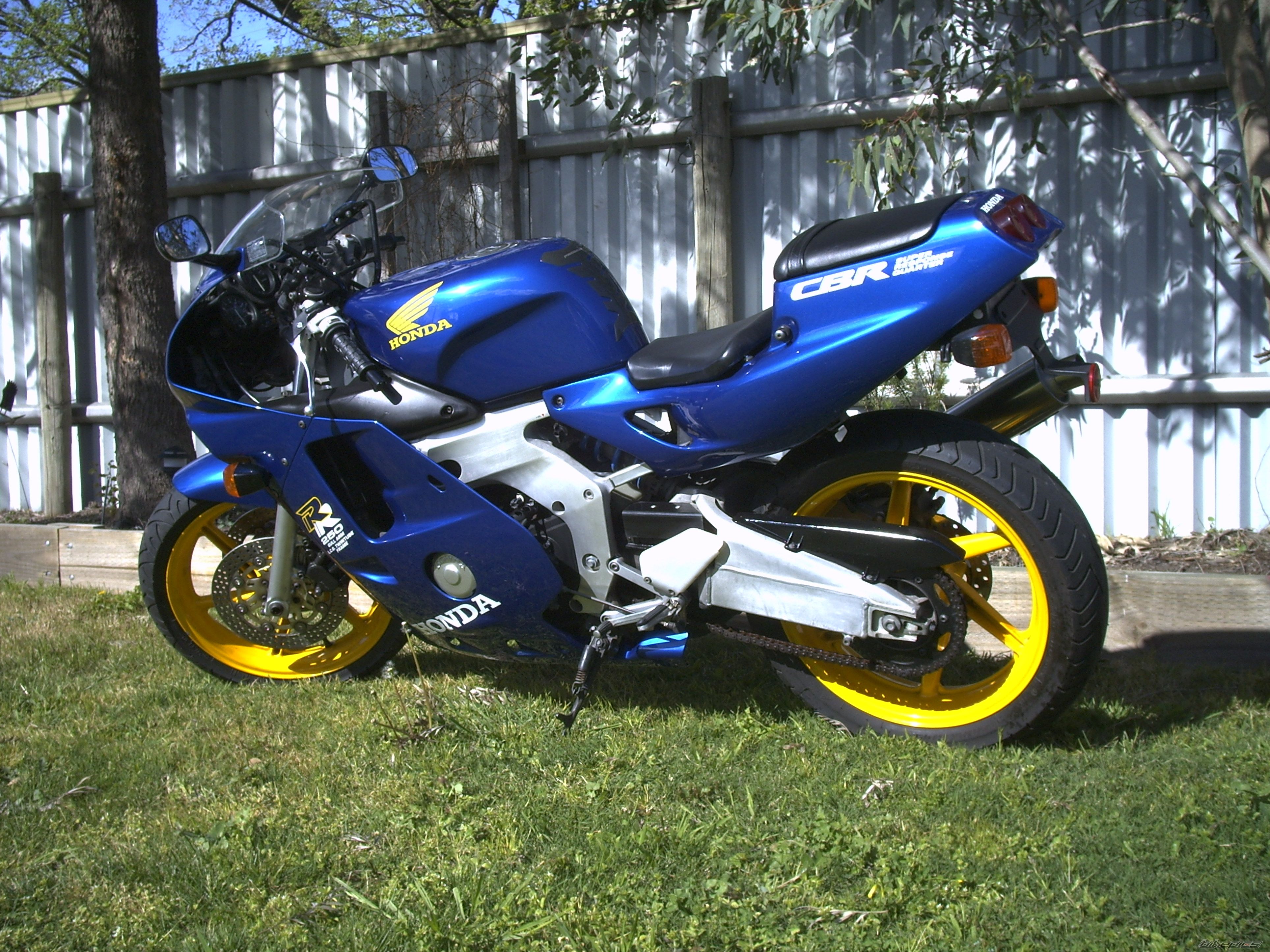 Photo 1342138