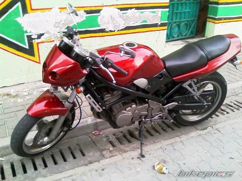 Photo 1342178