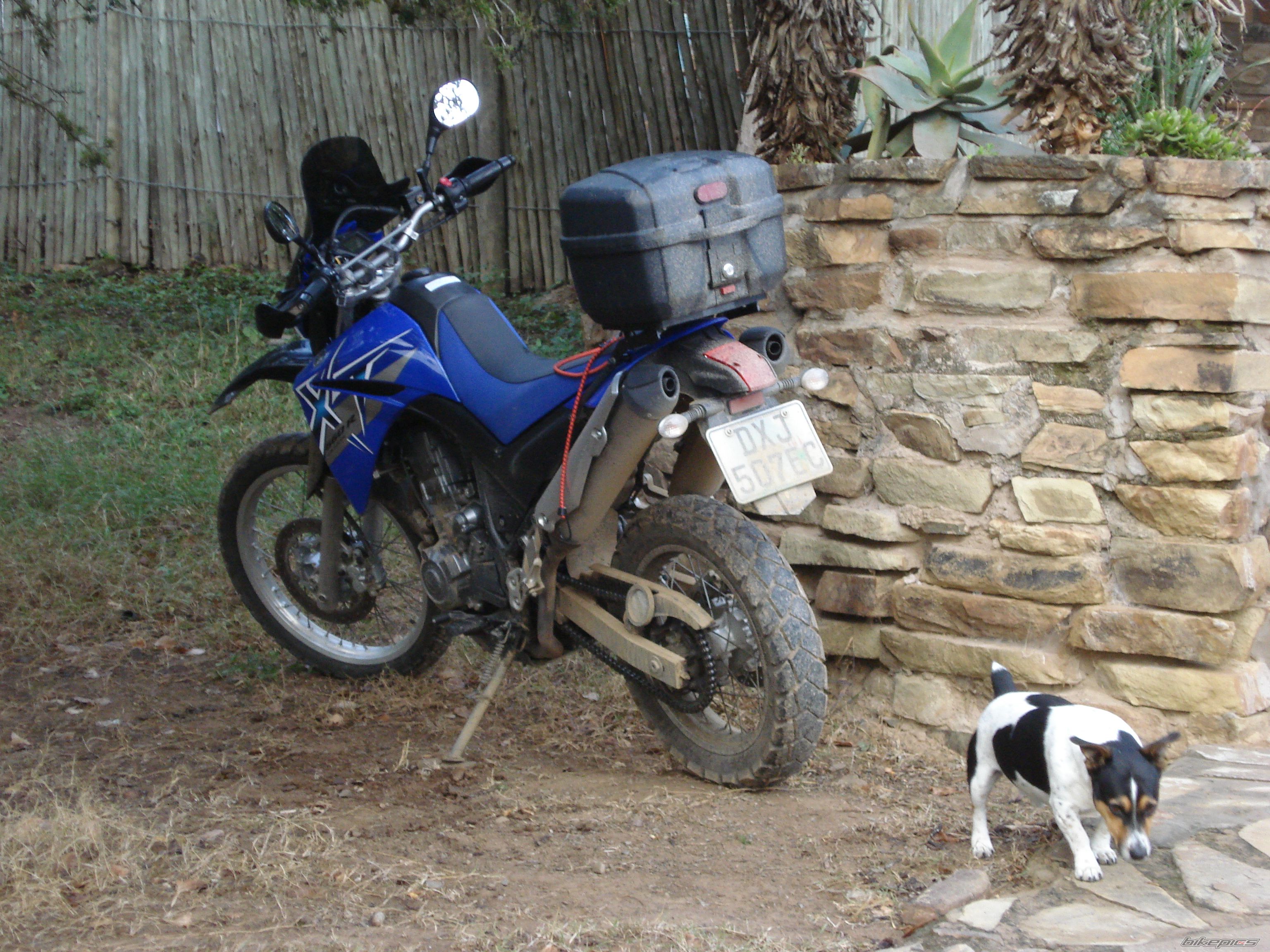 Bike Photo 1342183