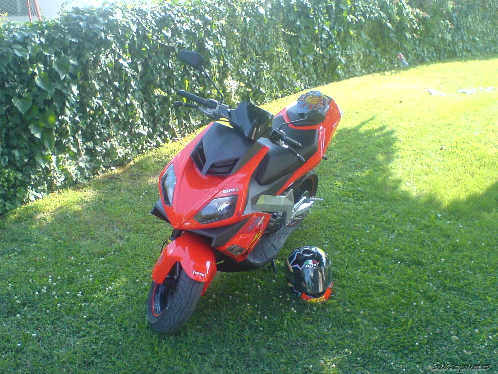 Photo 1342203