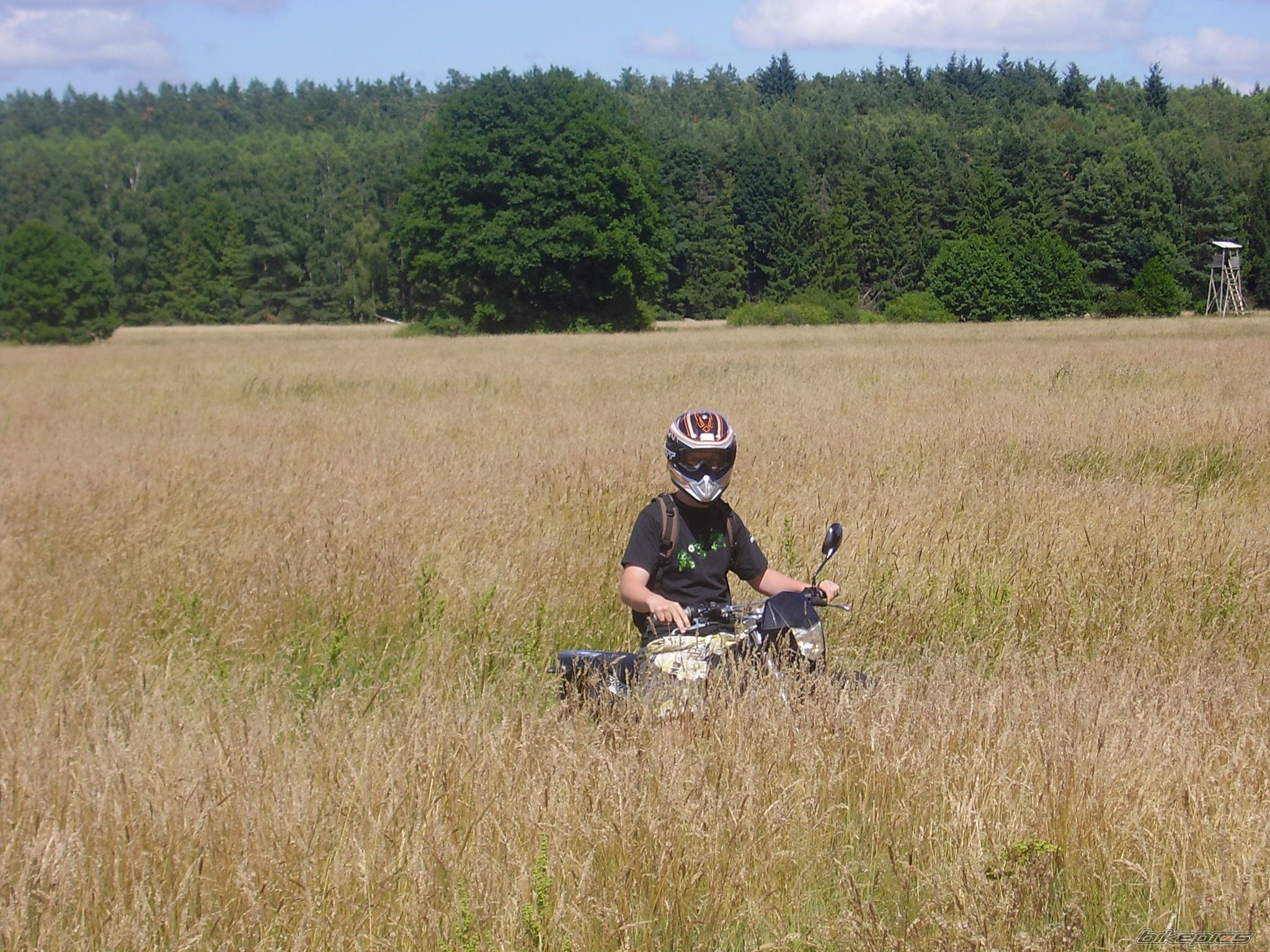 Photo 1342249