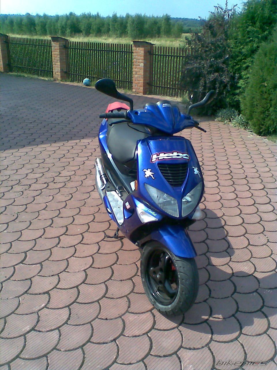 Photo 1342291