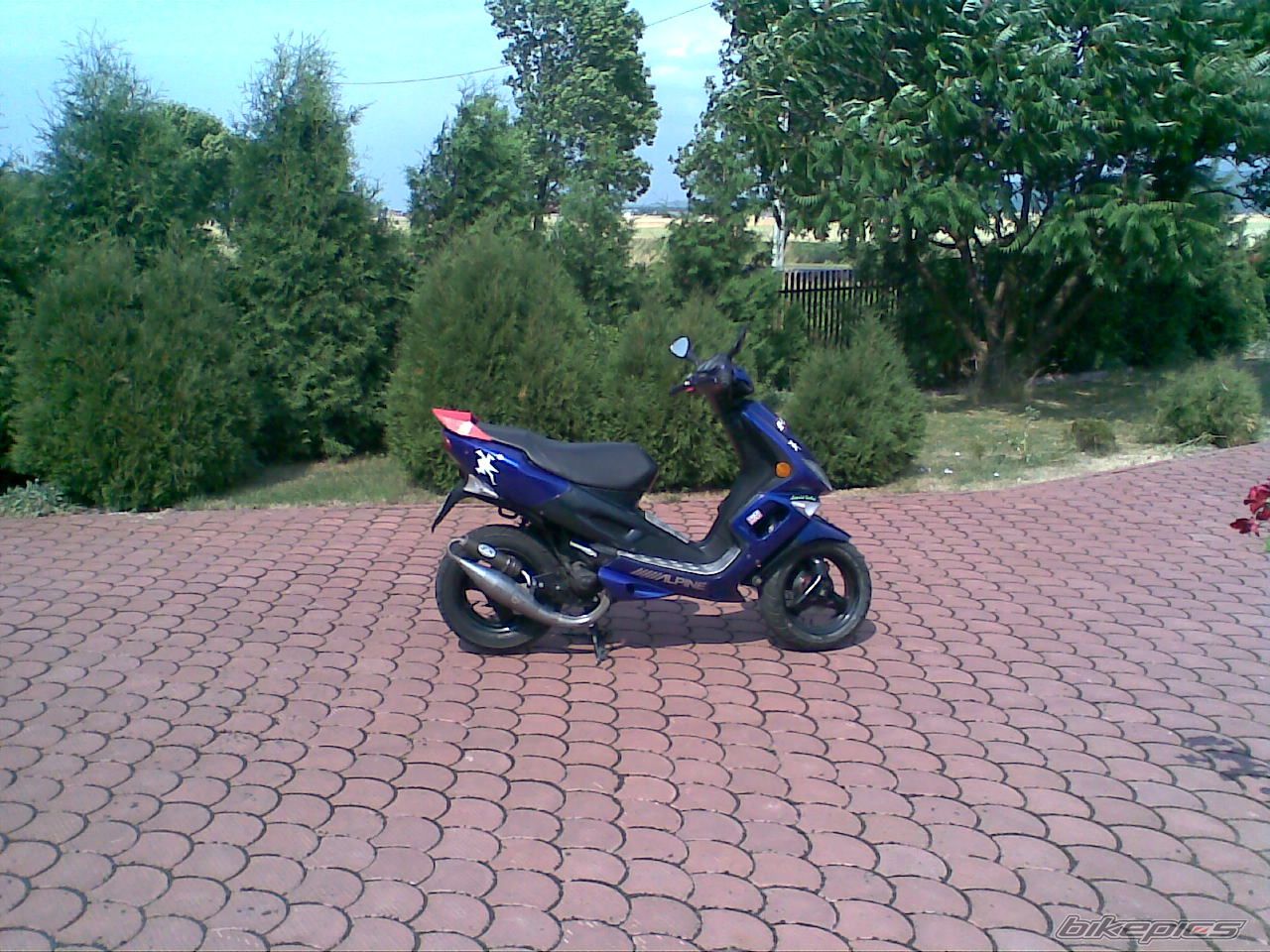 Photo 1342292