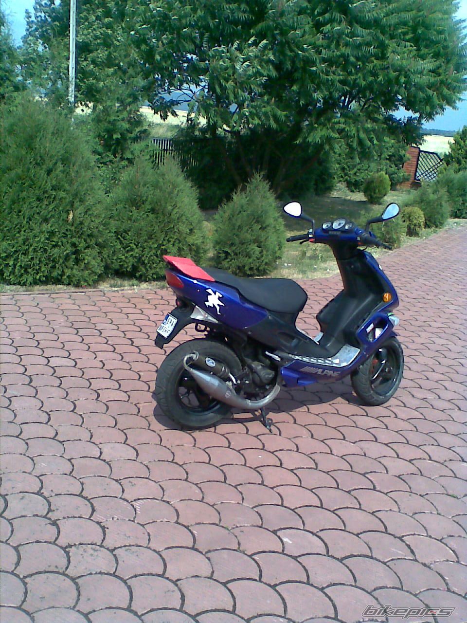 Photo 1342300