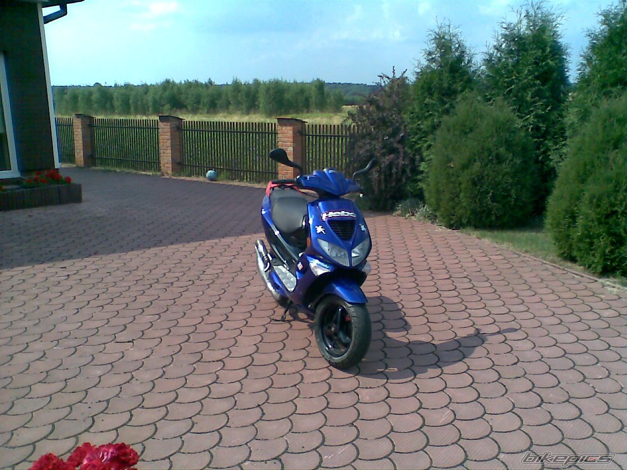 Photo 1342302