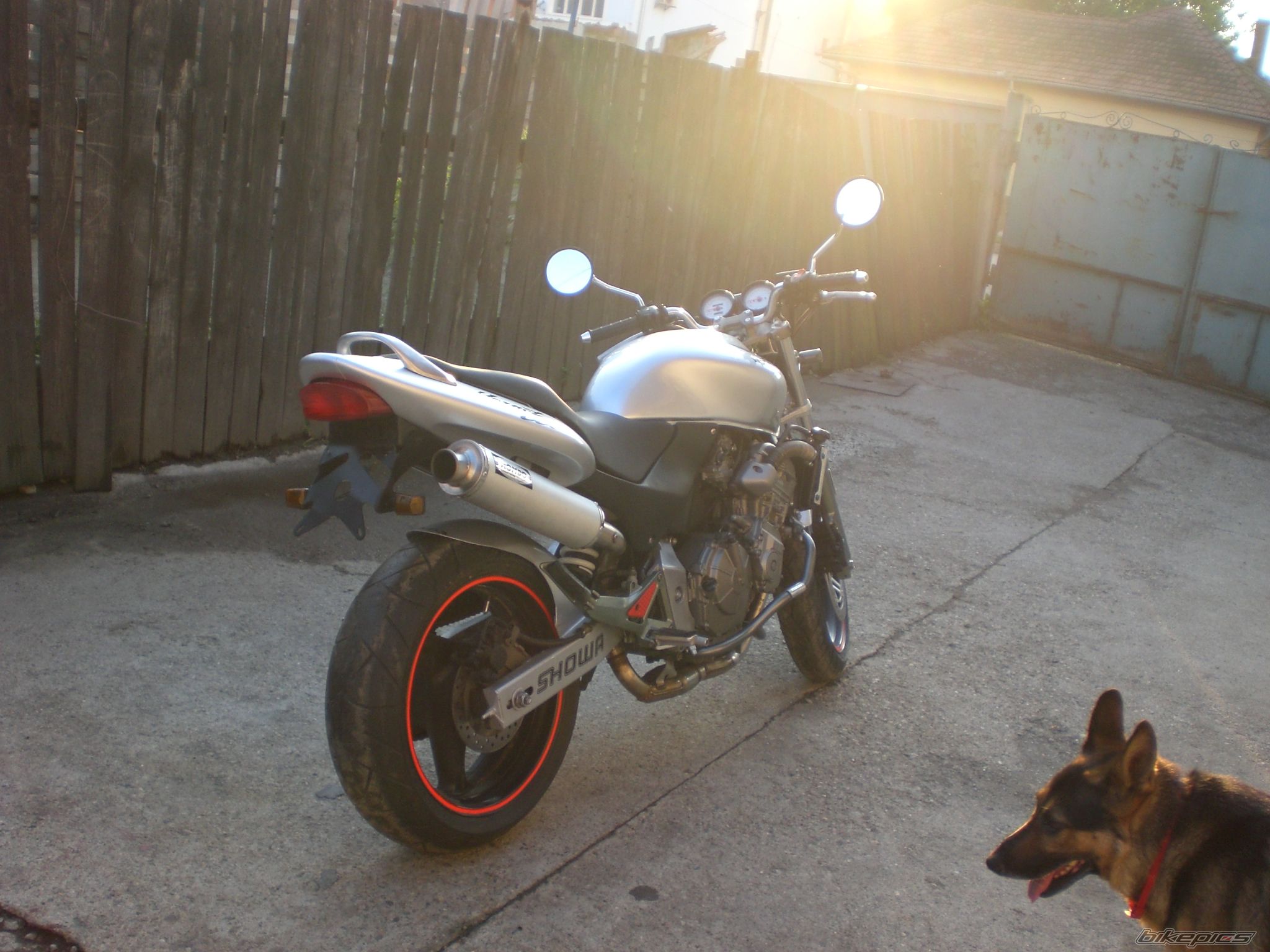 Photo 1342309