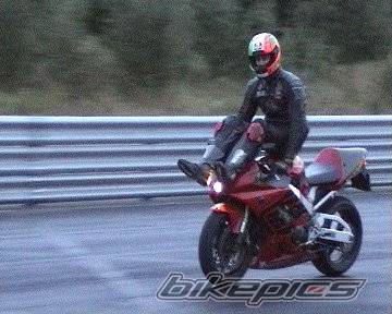 Photo 13424