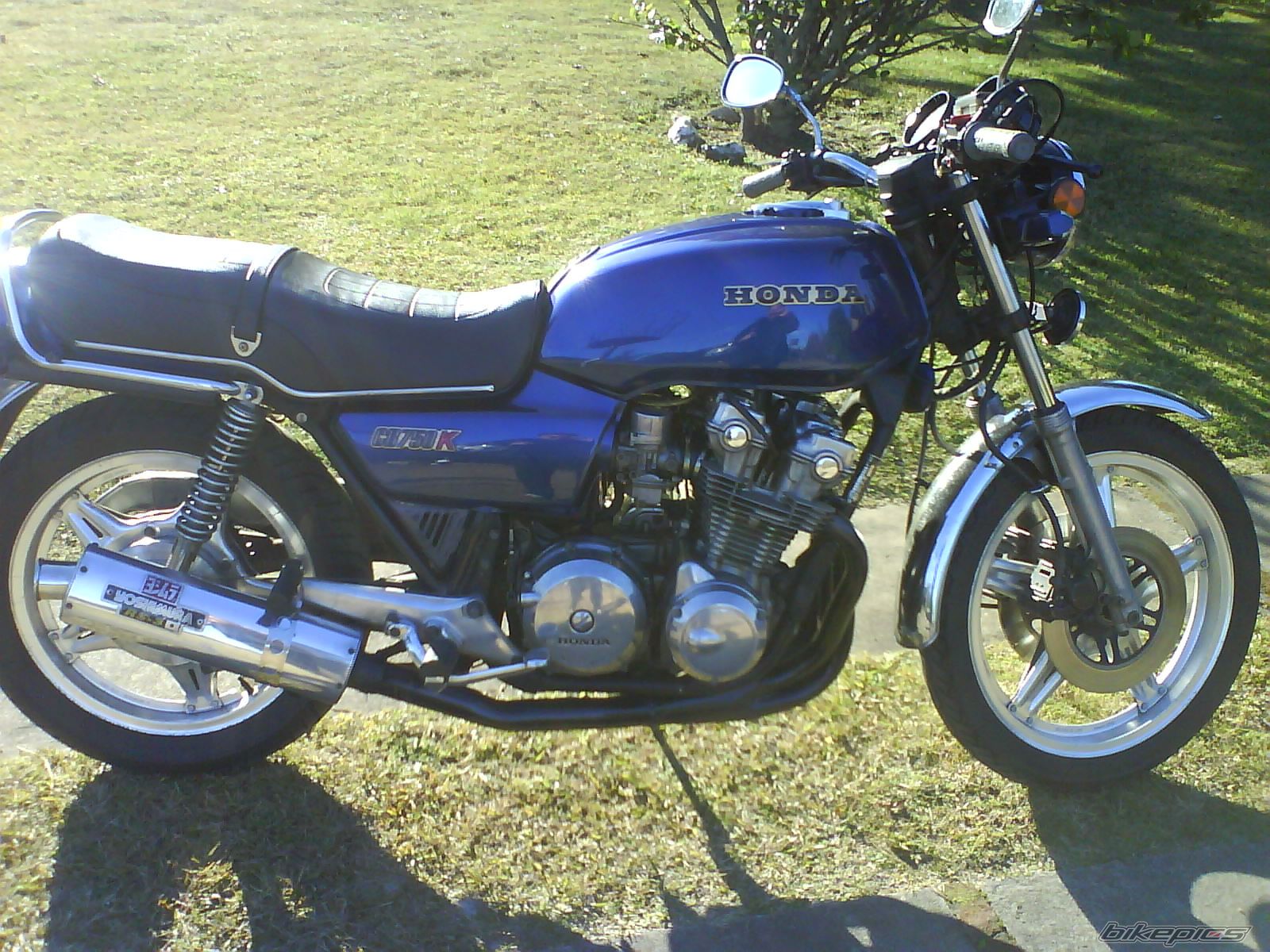 Photo 1342410