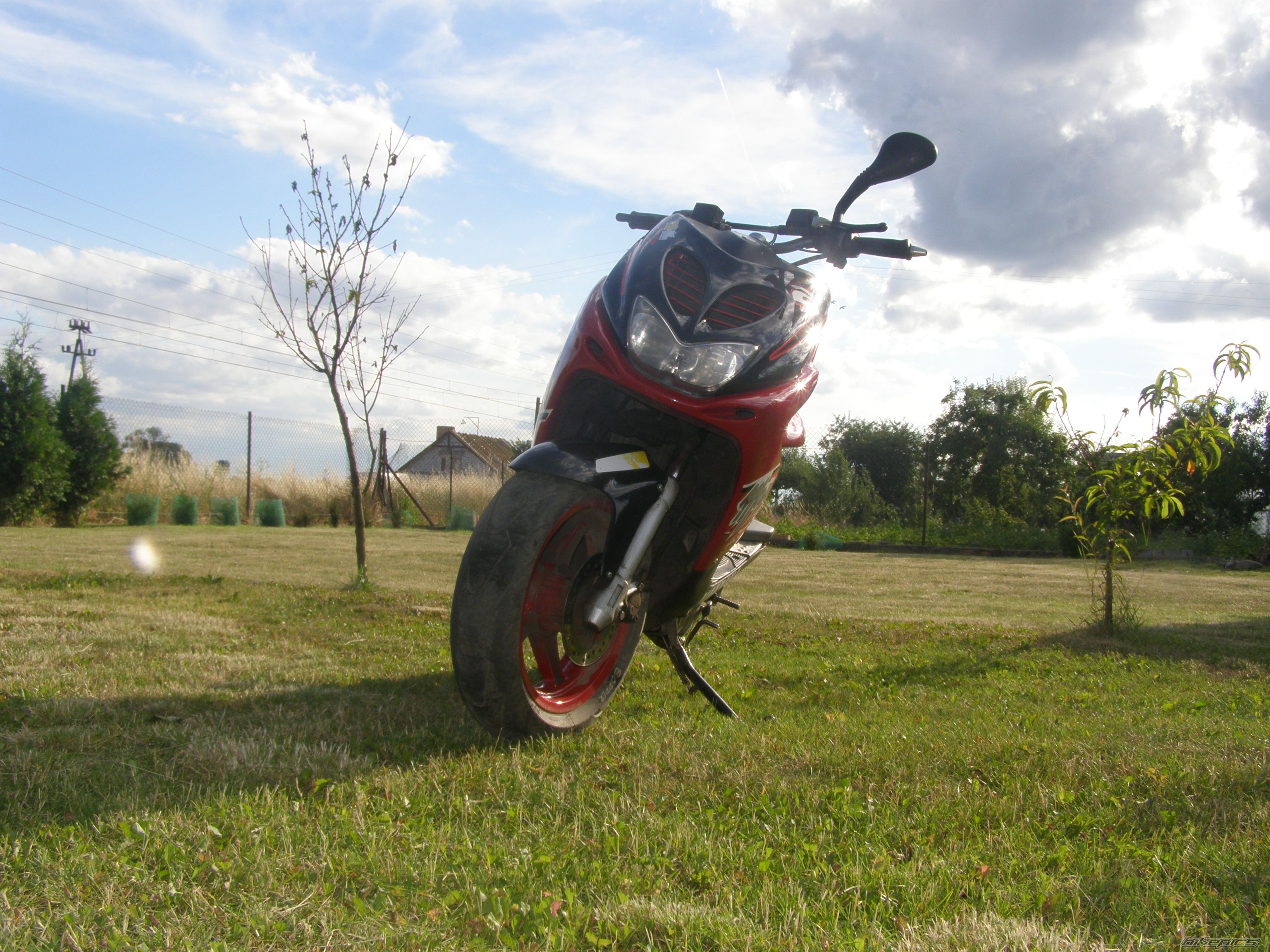 Photo 1342448