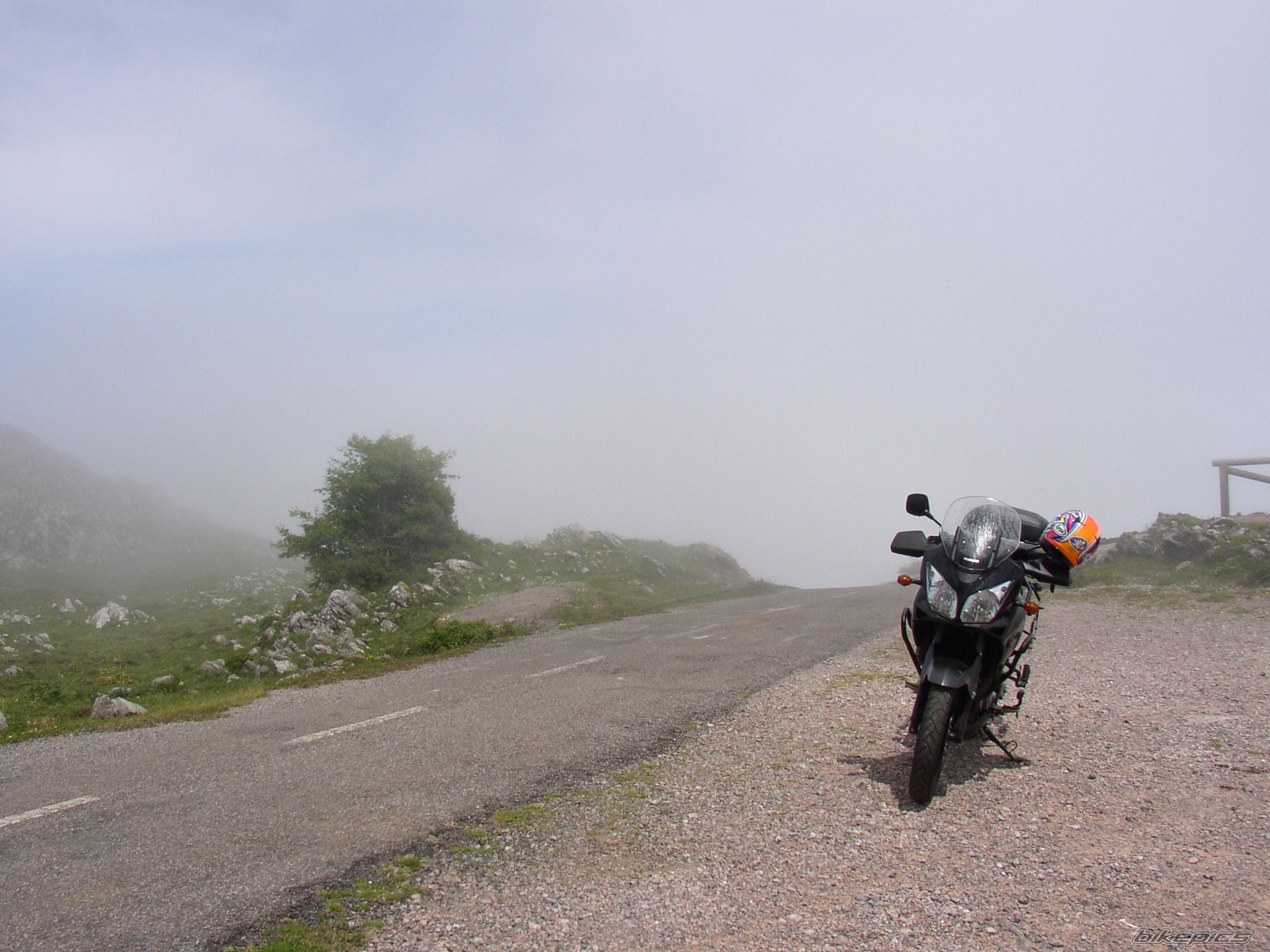 Photo 1342469