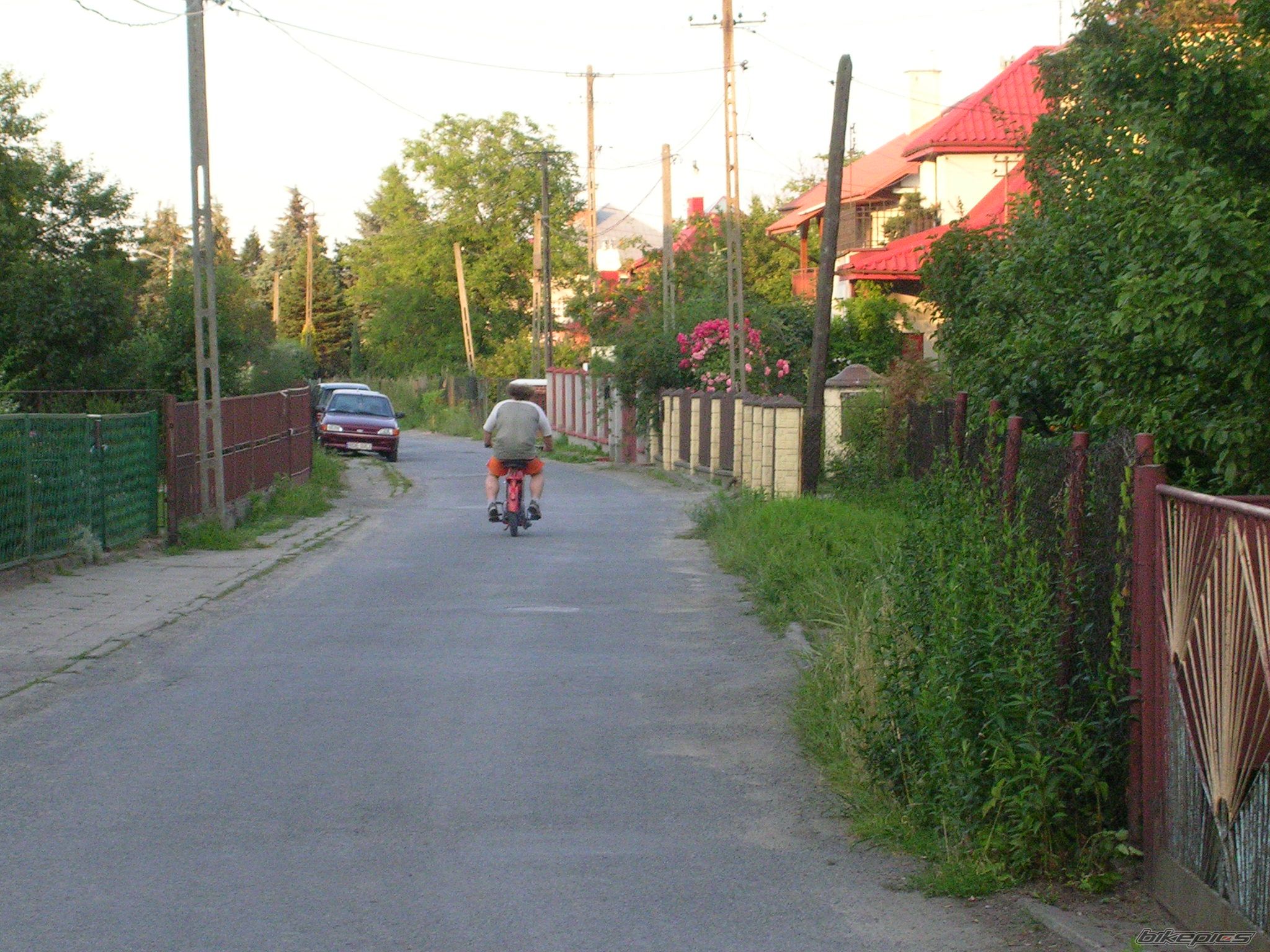 Photo 1342509