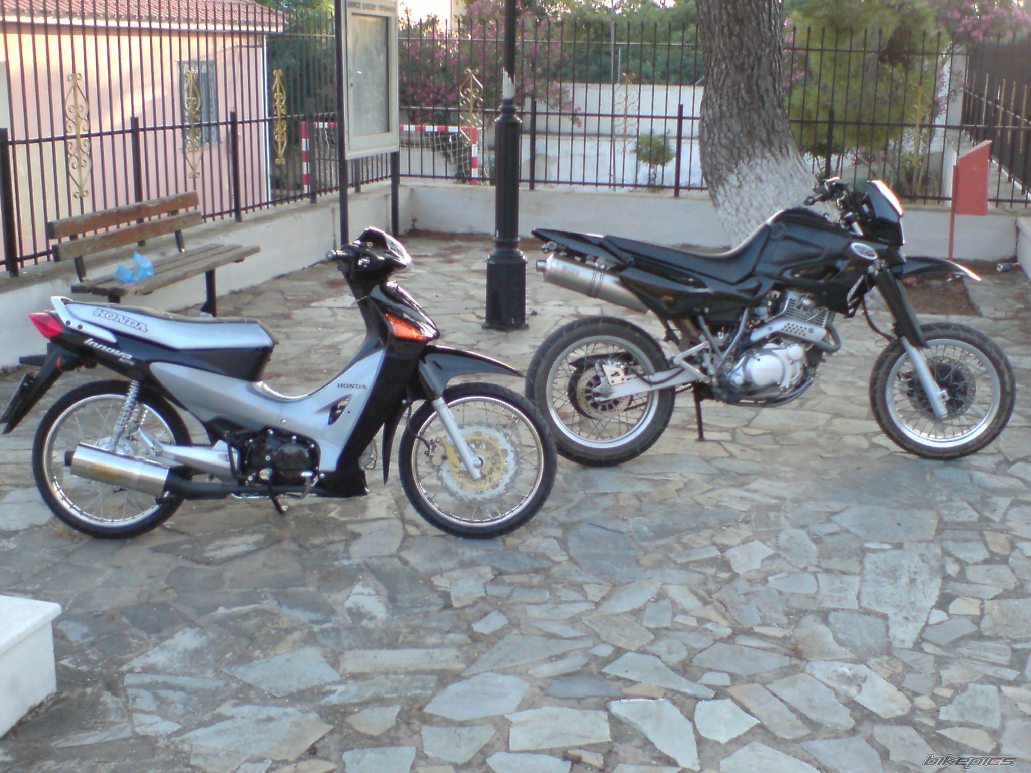 Photo 1342533
