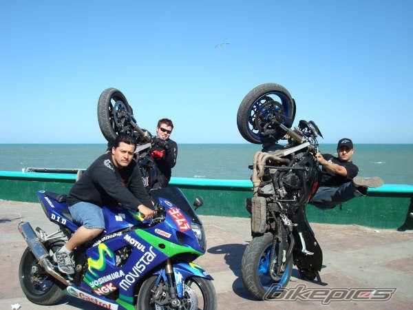 Photo 1342558