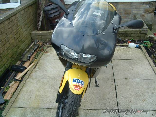 Photo 134257