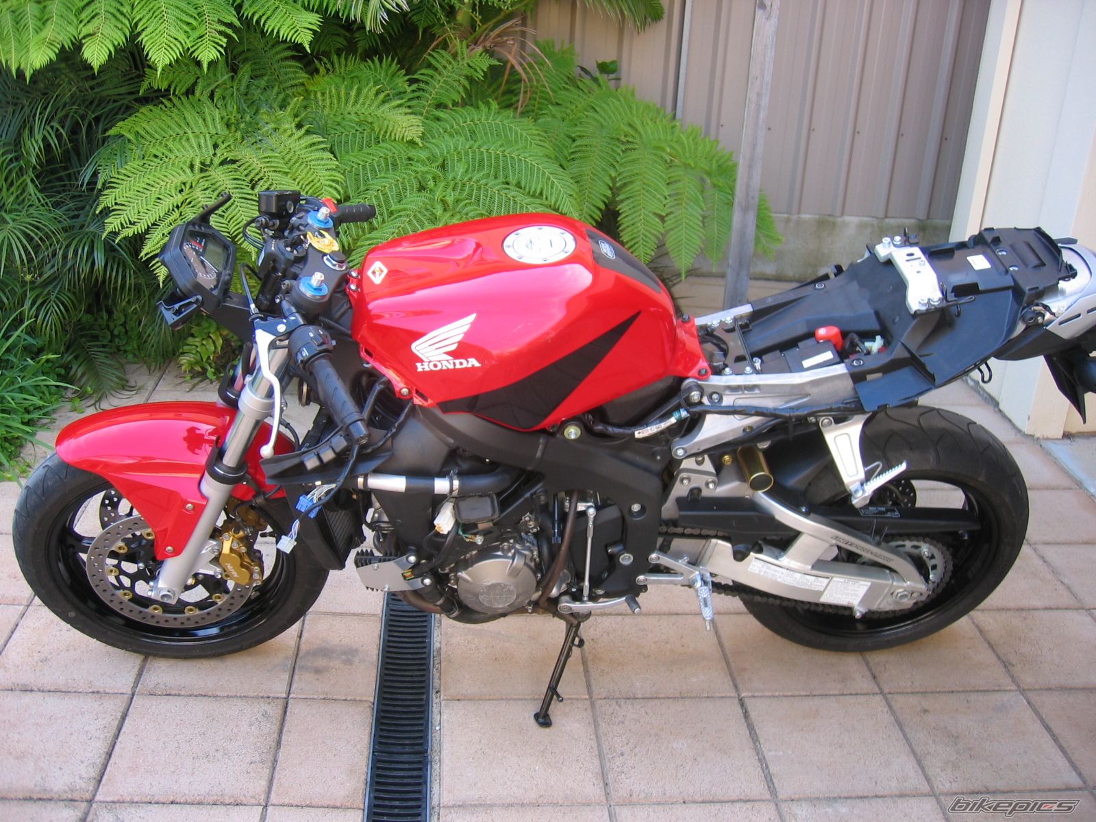 Photo 1342584