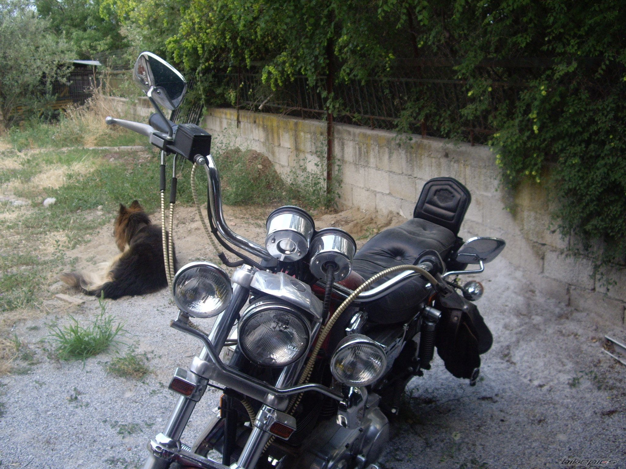 Photo 1342599