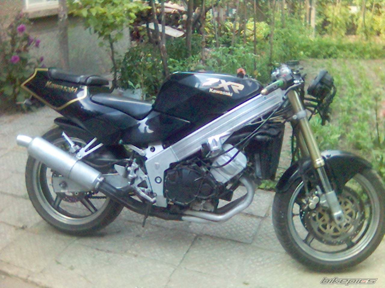 Photo 1342629