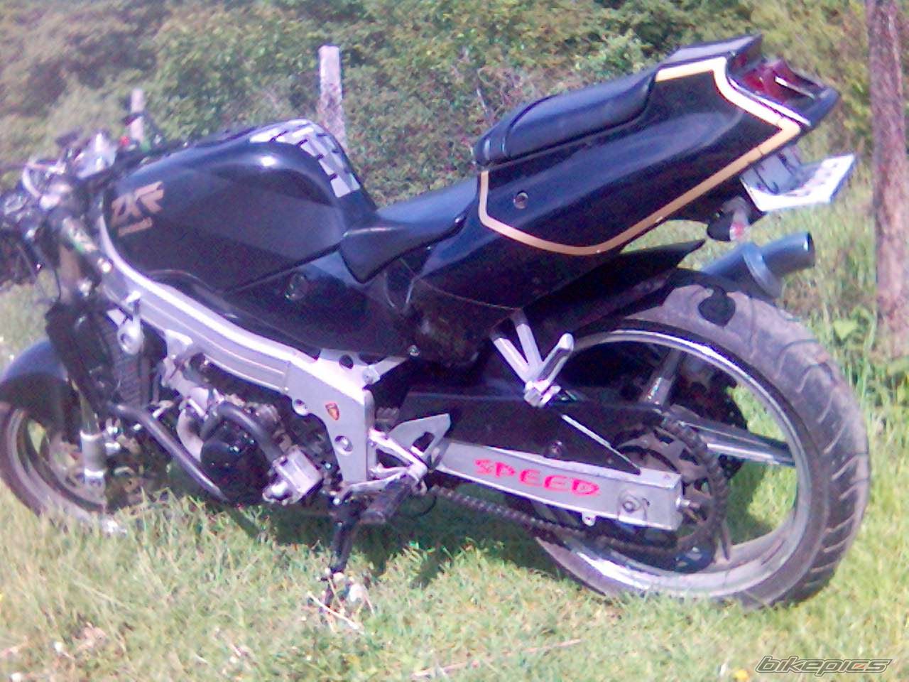 Photo 1342630