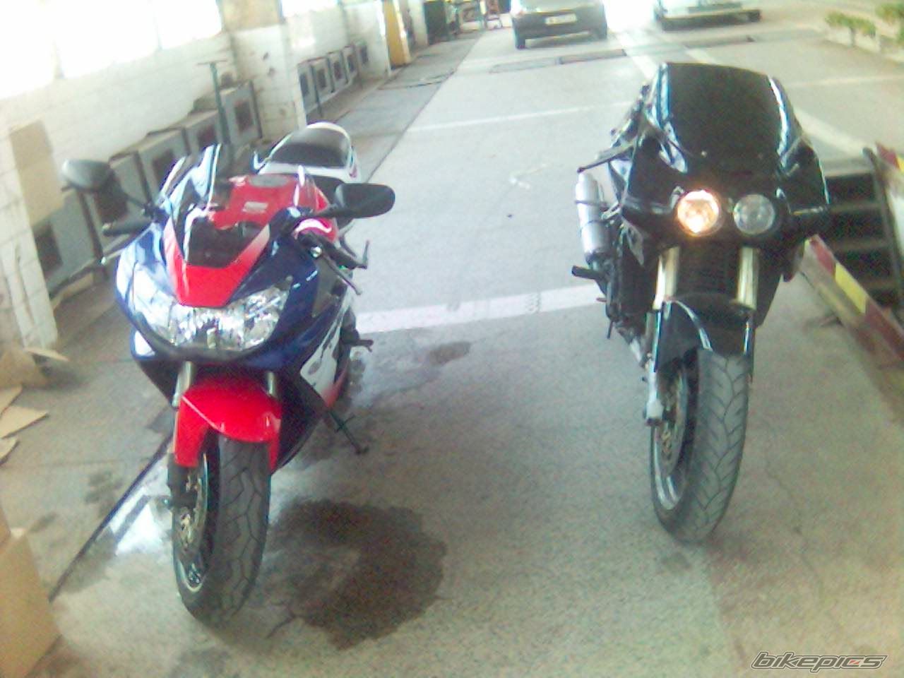 Photo 1342631