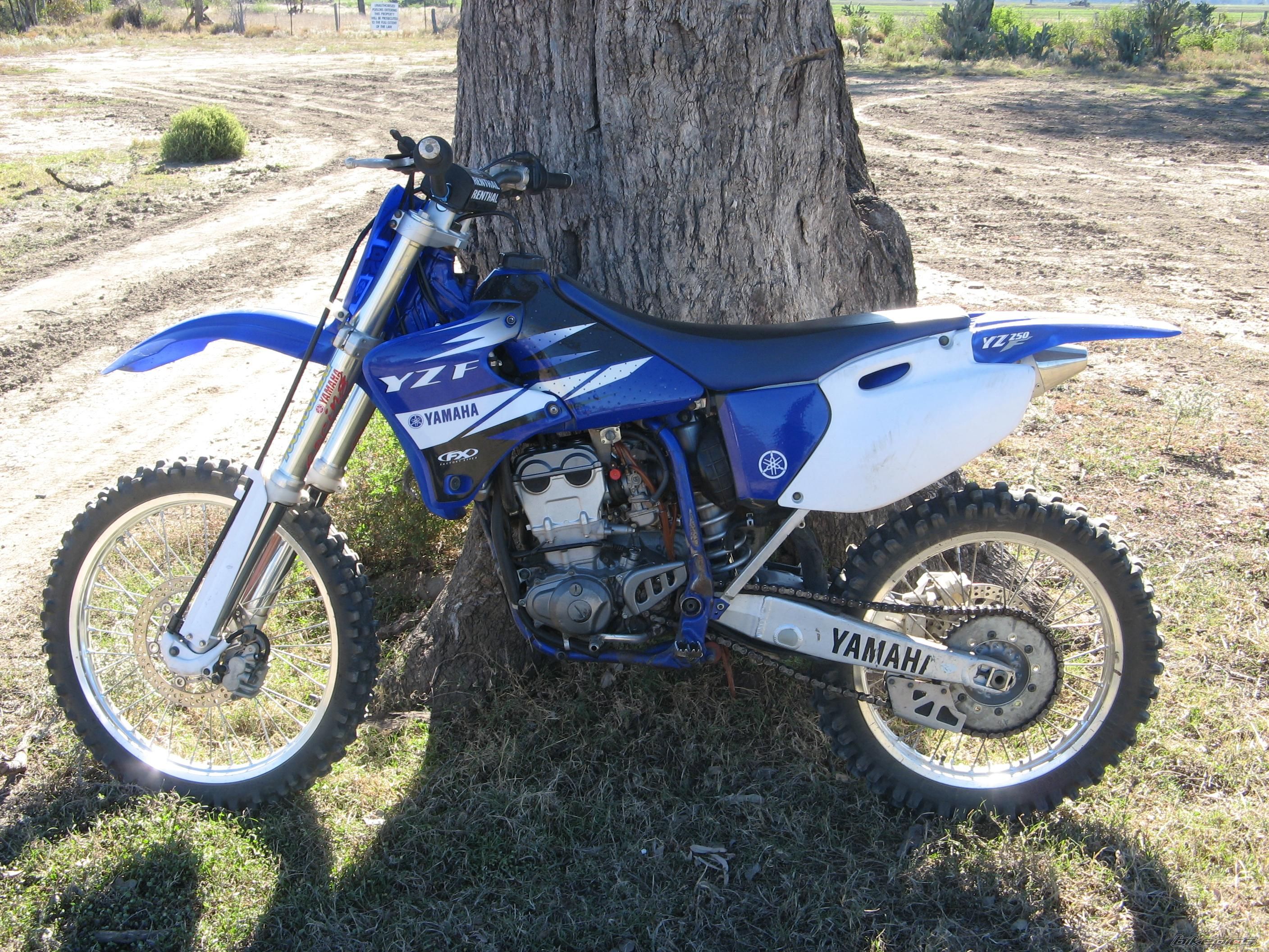 Photo 1342677