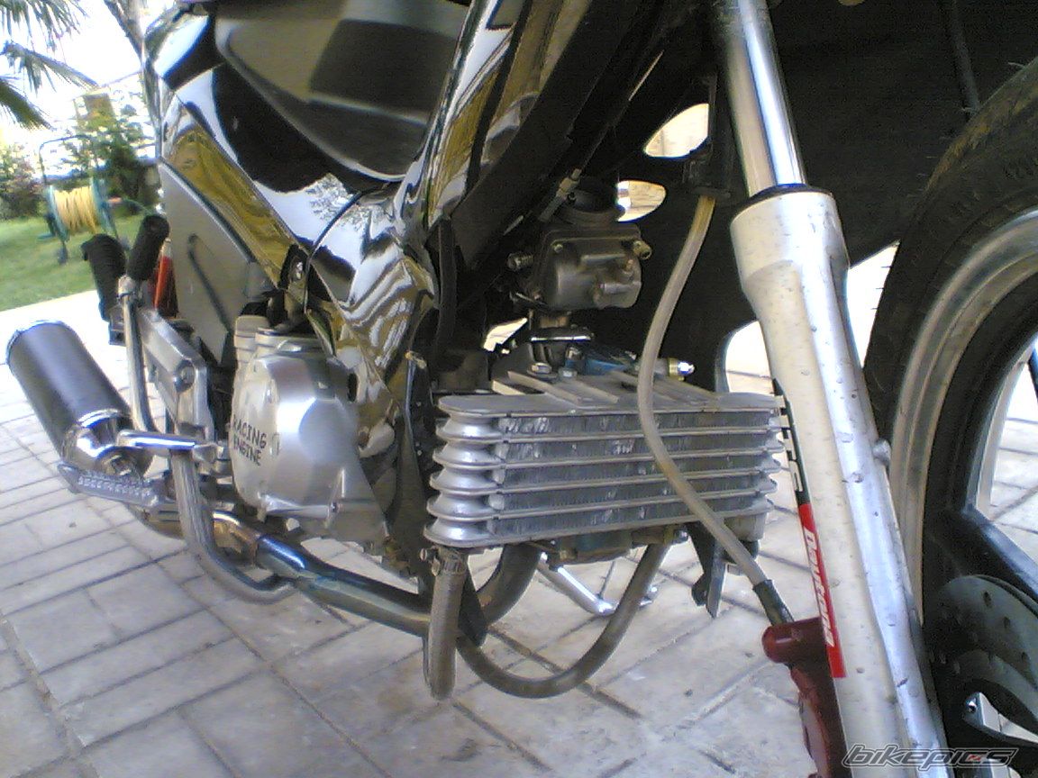Photo 1342759