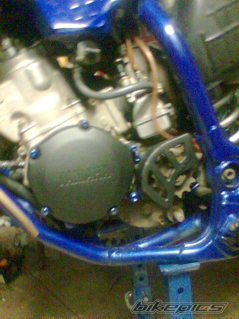 Photo 1342808
