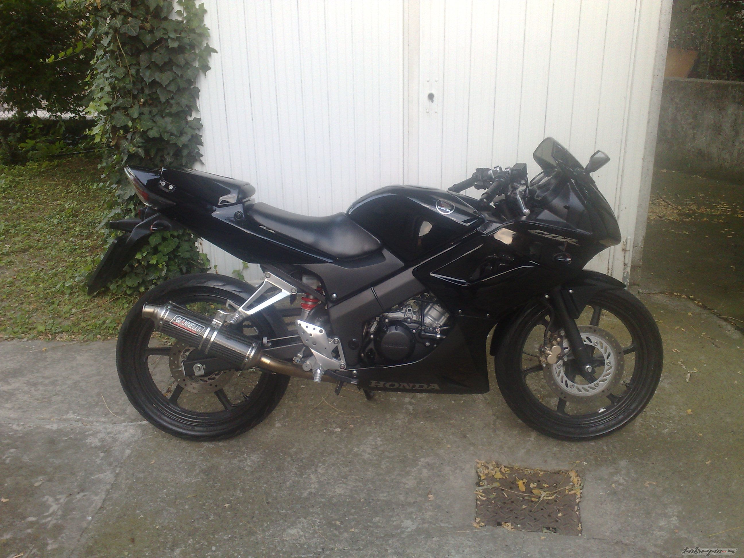 Photo 1342819
