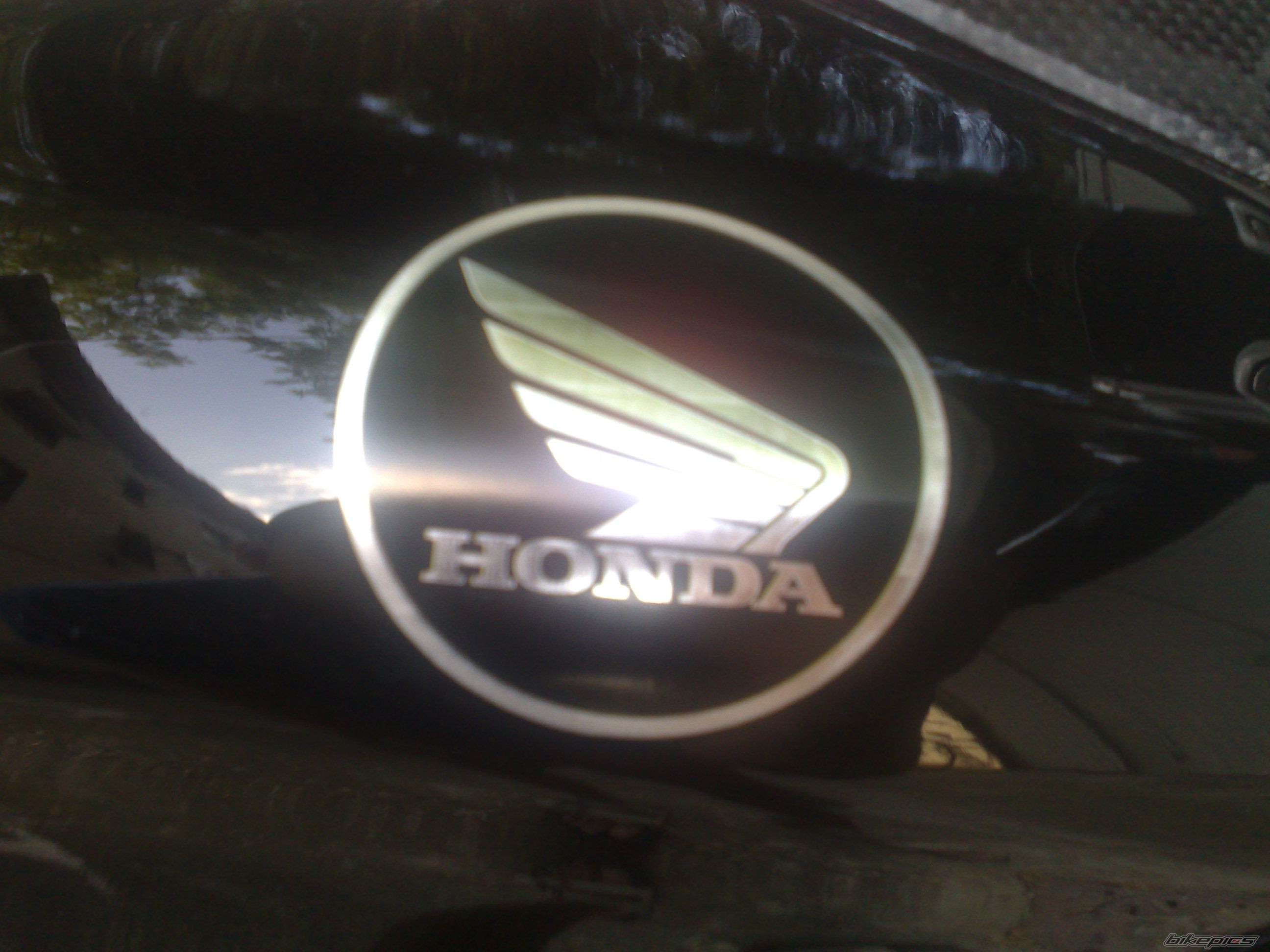 Photo 1342822