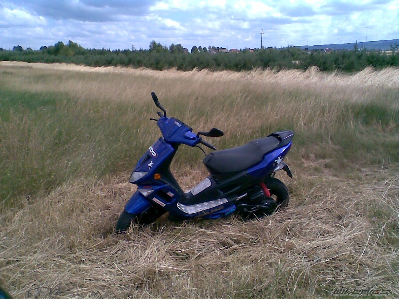 Photo 1342897