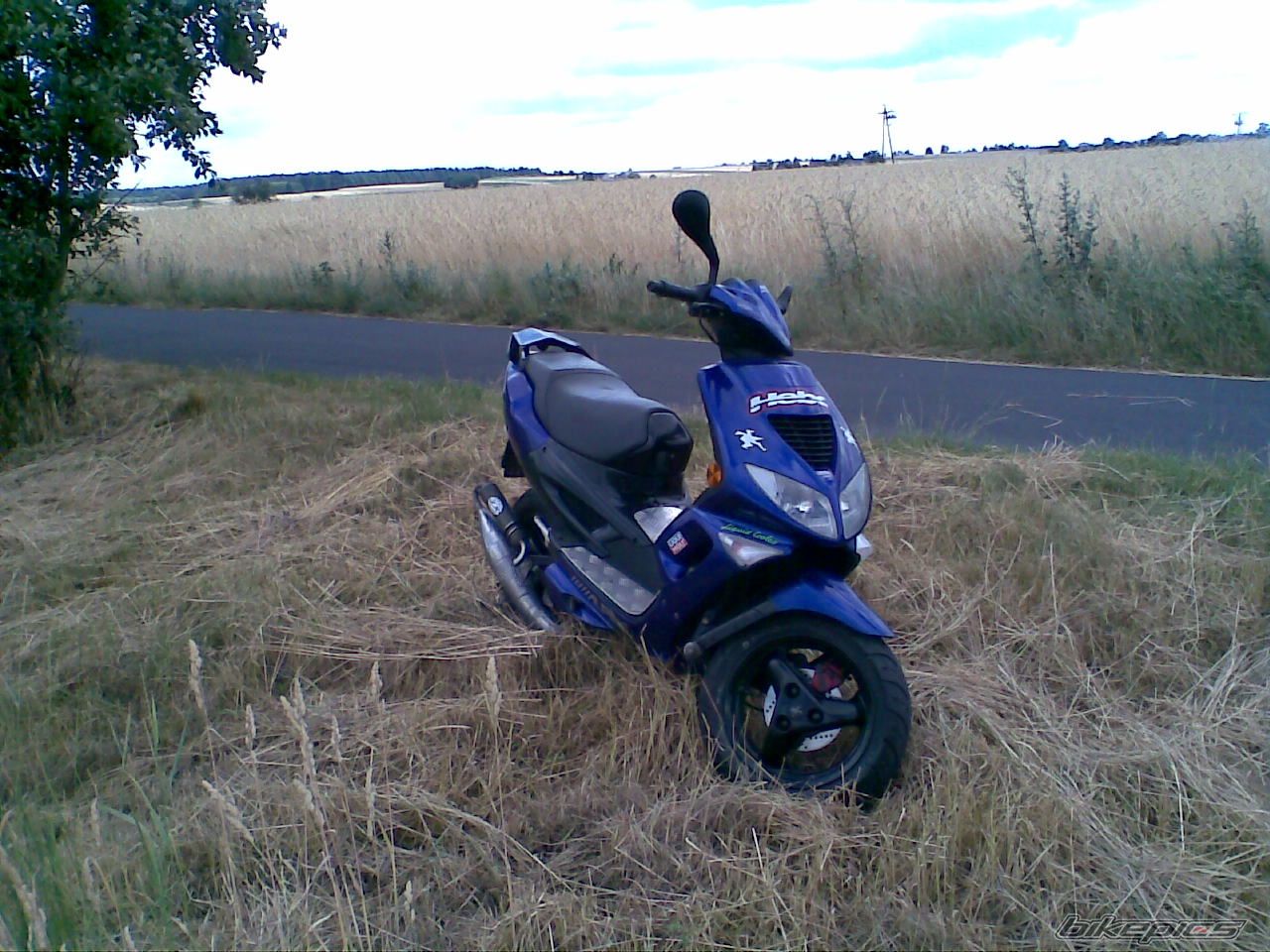 Photo 1342900